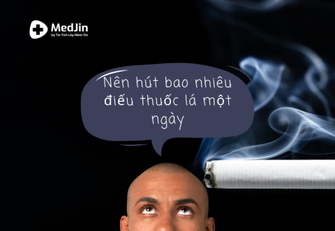 Nên Hút Bao Nhiêu Điếu Thuốc Lá Một Ngày Thì Không Gây Hại Cho Sức Khỏe