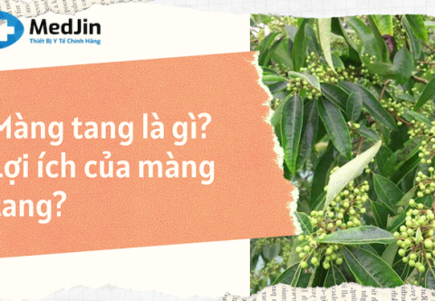 Màng tang là gì? Lợi ích của cây màng tang?