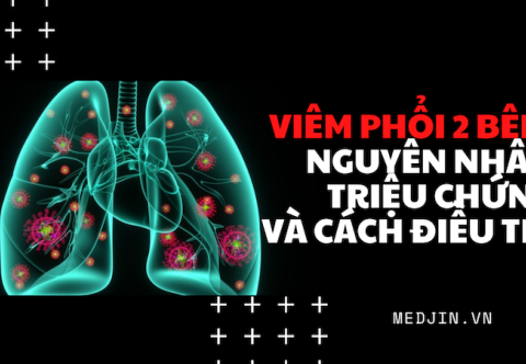 Nguyên Nhân Và Cách Điều Trị Bệnh Viêm Phổi 2 Bên